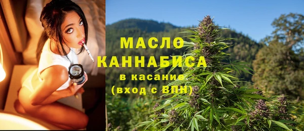 твердый Арсеньев