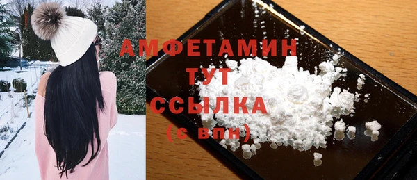 твердый Арсеньев