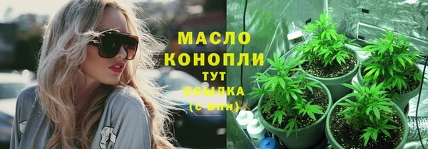 твердый Арсеньев