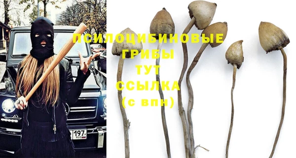 твердый Арсеньев